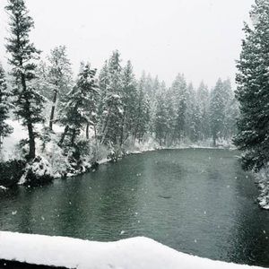 Meet your Posher, Chantel